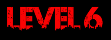 level6